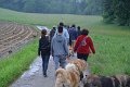 Treffen20130198