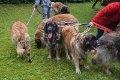 Treffen20130224