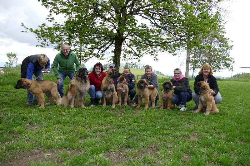 Treffen2017_0034.JPG - Welpentreffen 2017