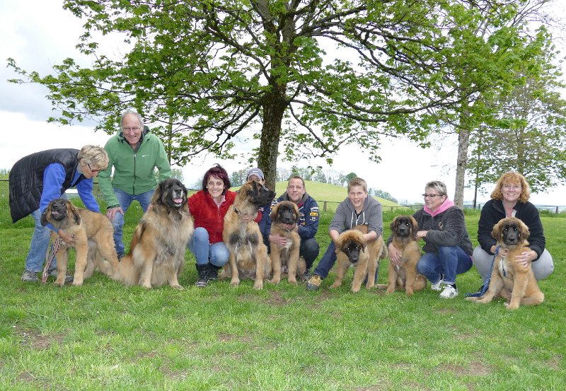 Treffen2017_0035.JPG - Welpentreffen 2017