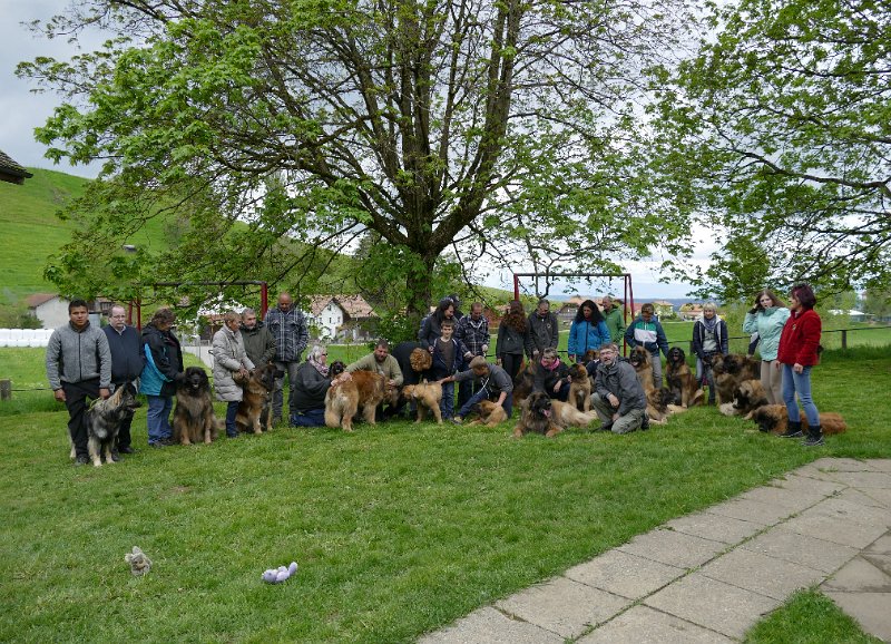 Treffen2017_0038.JPG - Welpentreffen 2017