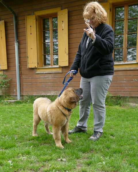 Treffen2017_0049.JPG - Welpentreffen 2017